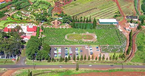 Dole Pineapple Plantation - the World's Largest Maze - Travel To Paradise