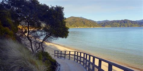 Awaroa Beach Attractions & Activities in Abel Tasman National Park New ...