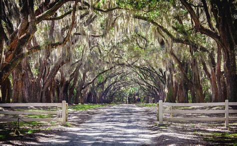 Wormsloe Plantation by rctfan2 on DeviantArt