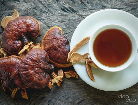 How to Make Reishi Mushroom Tea at Home | VidaCap