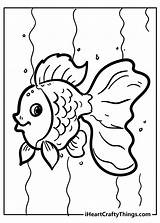 Fish Coloring Goldfish Pages Simple Outline Printable Template Sheets  sketch template