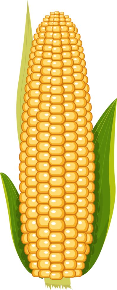 Corn clipart design illustration 9391393 PNG