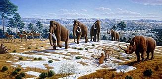 Quaternary extinction event - Wikipedia, the free encyclopedia | Wooly mammoth, Megafauna ...