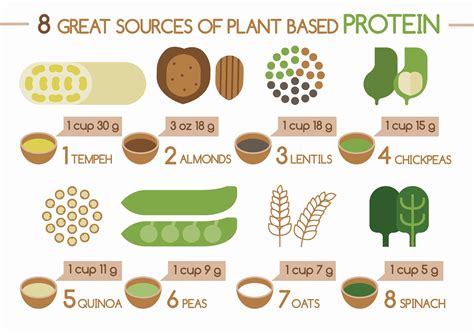 Getting protein from plants around the holidays | Article | The United ...