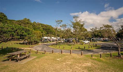 Woody Head campground | NSW National Parks