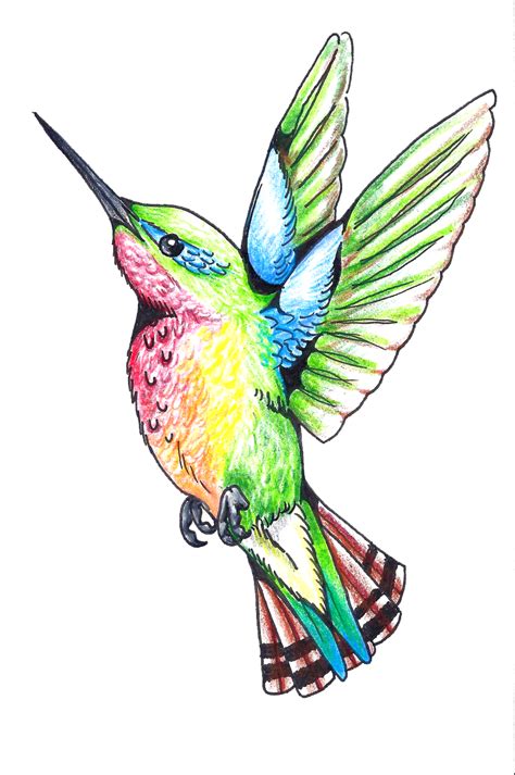Hummingbird Tattoos PNG Clipart | PNG All
