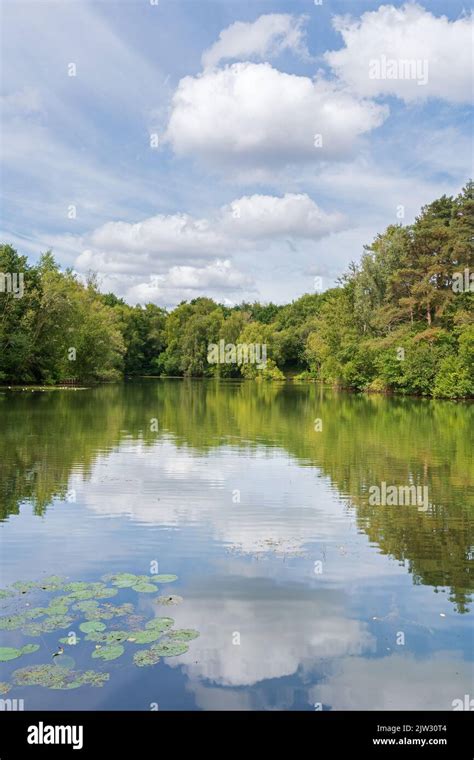 Swanwick Lakes, Swanwick, Hampshire, UK Stock Photo - Alamy