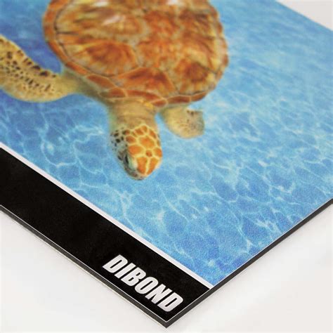 Aluminium Dibond Signs - Print 2 Media Ltd.