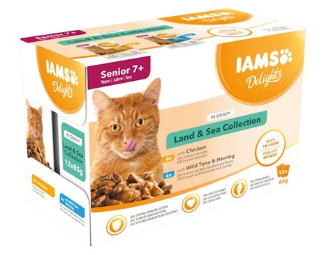 Best cat food for seniors to support your ageing feline 2024