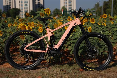 Evolve e-MTBs ride a fine line between high-end specs and affordability