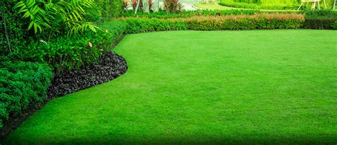 Lawn Maintenance: Tips, Tools, & Importance | Zameen Blog