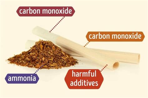 Perokok Wajib Tahu! Inilah Daftar Kandungan Zat Berbahaya Dalam Tiap Jenis Rokok yang Ada di ...