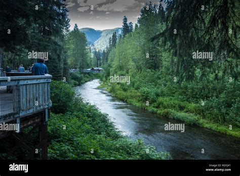 Fish Creek Bear Viewing Platform, Hyder, Alaska Stock Photo - Alamy