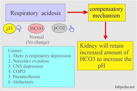 Acid-Base Balance:- Part 4 - Arterial Blood gases (Blood Gases ...