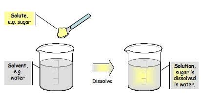 Solute + Solvent = Solution! | Teaching chemistry, Science teaching resources, Science education