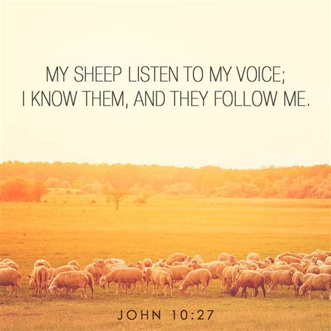 "My sheep listen to my voice; I know them, and they follow me." John 10:27 #LivingWell #Bible ...