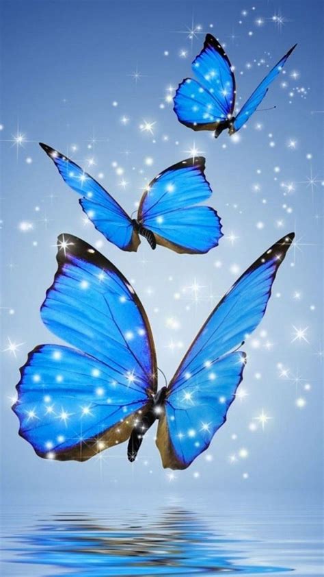 44+ Wallpaper Aesthetic Blue Butterfly Gif - New Wallpaper