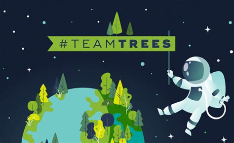 MrBeast And Mark Rober's #TeamTrees Fundraiser Is Getting A Discovery ...