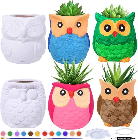 6 Sets DIY Ceramic Owl Succulent Pots Figurines Paint Craft Kit ...