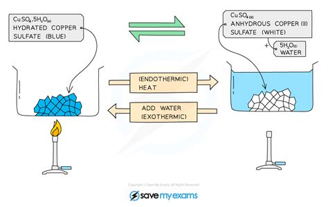 Reversible Reactions (7.2.1) | CIE IGCSE Chemistry Revision Notes 2022 | Save My Exams