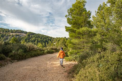 Visiting the Calanques National Park in France - A Complete Guide