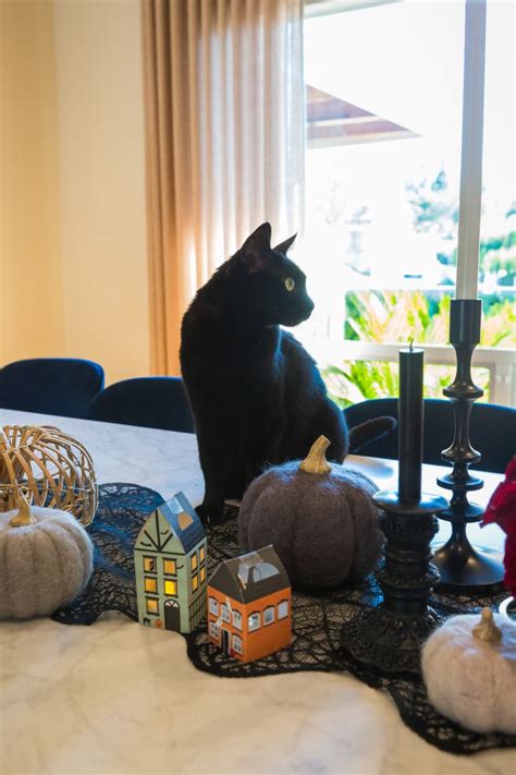 Carrie and Sean Murray Hocus Pocus Halloween House Tour | Apartment Therapy