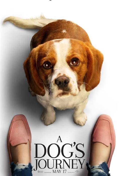 A DOG’S JOURNEY – The Movie Spoiler