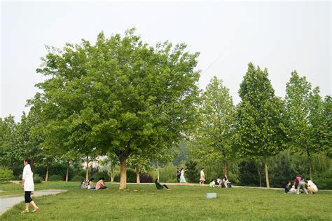 University Of Jinan Campus Picture And HD Photos | Free Download On Lovepik