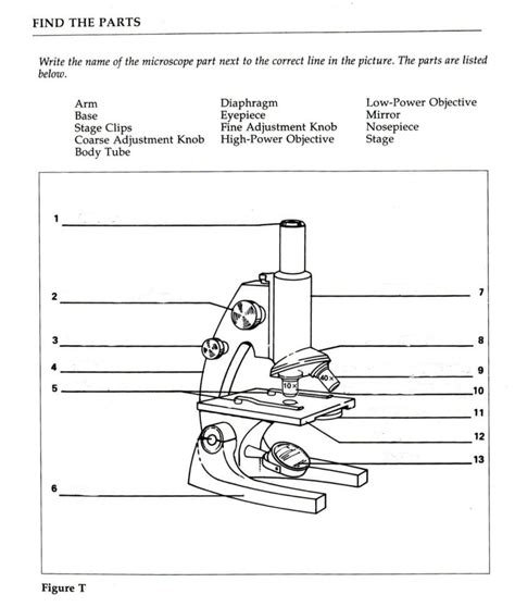 Microscope Parts And Use Worksheet Answers — db-excel.com