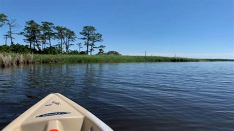 Exploring Blackwater National Wildlife Refuge by Kayak - YouTube