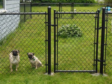 Unique Front Yard chain link Fences | Dog Fence Beverly | Fences in Boston MA | Dog fence, Black ...