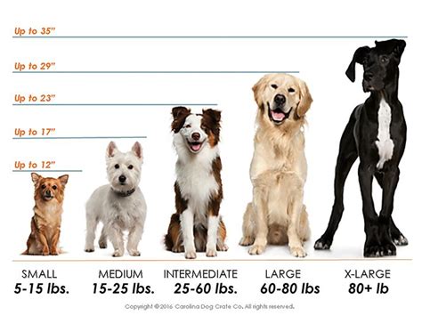 Dog Crate Size Chart - pet pals