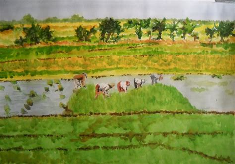 Moments of Quiet - Forays into Watercolour Painting: Rice fields in Cambodia