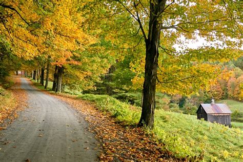 The History of Sleepy Hollow Farm in Pomfret, VT | How a Vermont Farm ...