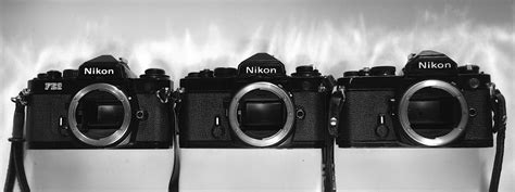 Nikon FM vs Nikon FE vs Nikon FE2 Review (+vs F4 / F5!)