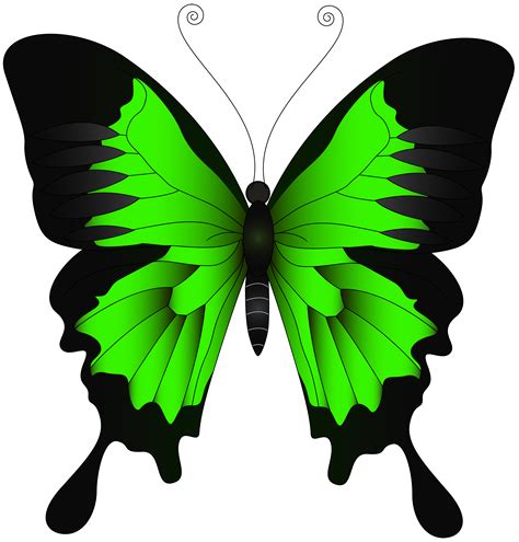 green butterfly clipart 10 free Cliparts | Download images on ...