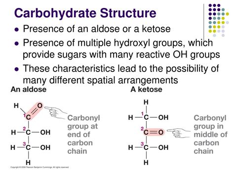 PPT - Carbohydrates PowerPoint Presentation, free download - ID:1460580