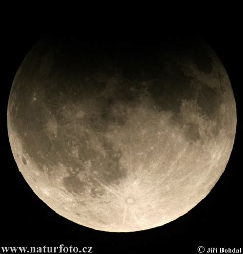 Moon - Eclipse Photos, Moon - Eclipse Images, Nature Wildlife Pictures ...