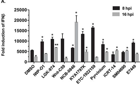 New class of antivirals works against broad range of RNA viruses including SARS-CoV-2 - Medicine.net