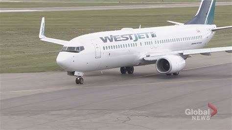 WestJet strike: If it happens, here are your options | Globalnews.ca