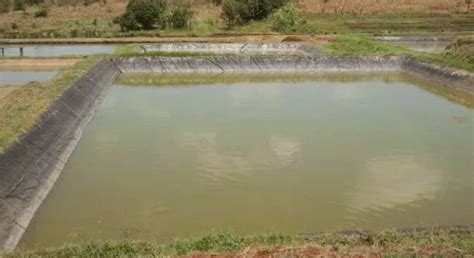 How To Start Fish Farming In Zambia Pdf - Farming Mania