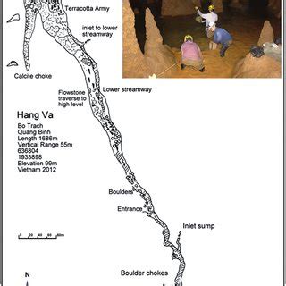 Mesocyclops sondoongensis sp. nov., female (Son Doong cave). SEM... | Download Scientific Diagram