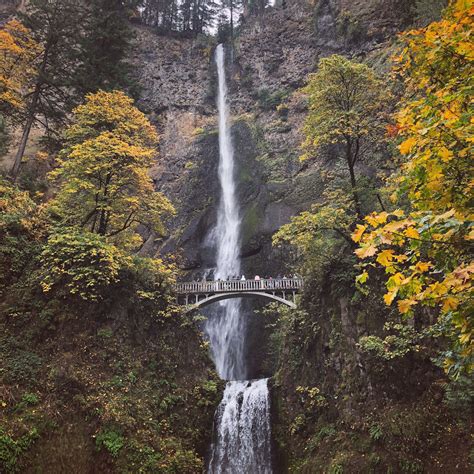 Multnomah falls, portland, or | Multnomah falls, Waterfall, Adventure