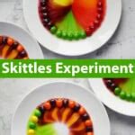 Skittles Experiment - Childhood Magic