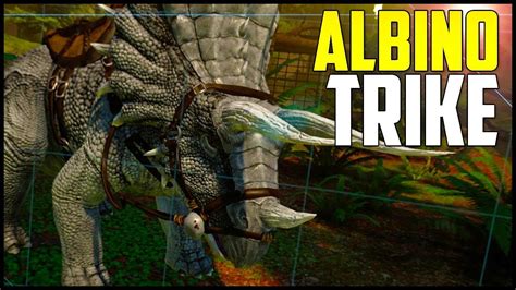 ALBINO TRIKE & FIRST ZONE! - Ark Park Gameplay Ep 2 ( Ark Park PSVR Oculus VIVE Gameplay ) - YouTube