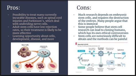 The Ethics of Stem Cell Research - YouTube