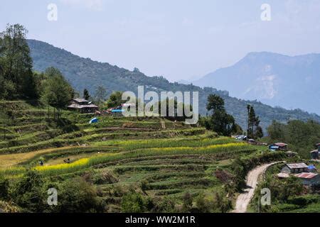 Valley of Ghar Khola river in vicinities of Ghara village, Annapurna Circuit trek, Nepal Stock ...