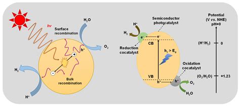 Catalysts | Free Full-Text | Cocatalysts for Photocatalytic Overall Water Splitting: A Mini Review