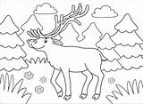 Alce De Dibujos Animados Para colorear Imprimir E Dibujar  sketch template