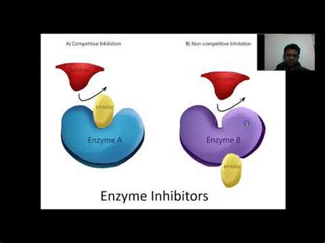 Lab 6 Enzyme Assay - YouTube